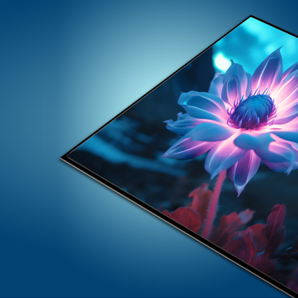 Integrated frame and screen